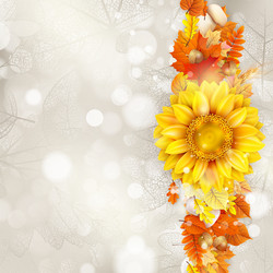 Similar image 11850613