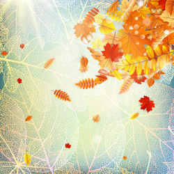 Similar image 11850616