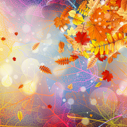 Similar image 11850617