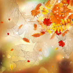 Similar image 11850629