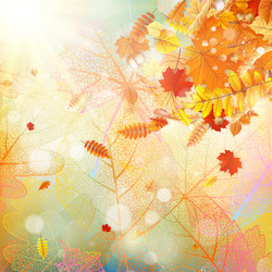 Similar image 11850630