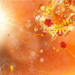 Similar image 11850631