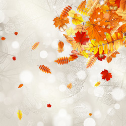 Similar image 11850632