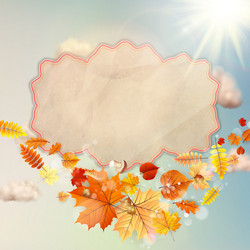 Similar image 11850654