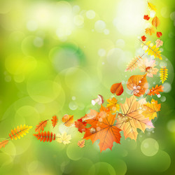 Similar image 11850676