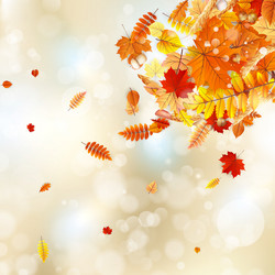 Similar image 11850677