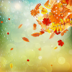 Similar image 11850679