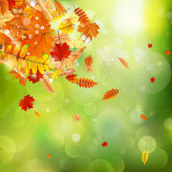 Similar image 11850682