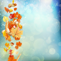 Similar image 11850687