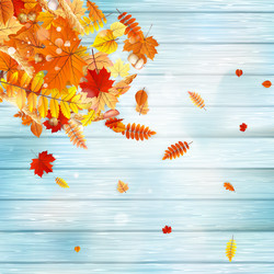 Similar image 11850259