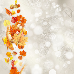 Similar image 11850278