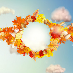 Similar image 11850300