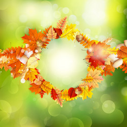 Similar image 11850301