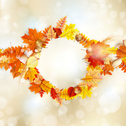 Similar image 11850335