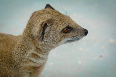 Similar image 11840531