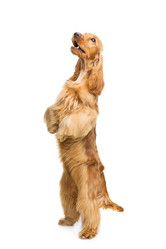 Similar image 11846105