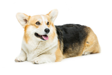 Similar image 11846090