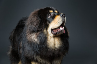 Similar image 11846097