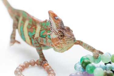 Similar image 11846140