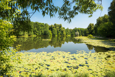 Similar image 11840685