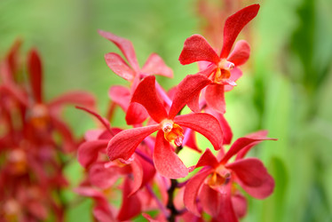 Similar image 11841278