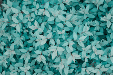 Similar image 11840533