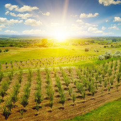 Similar image 11840584