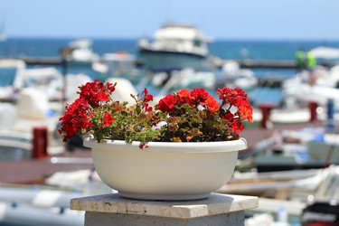 Similar image 11862803