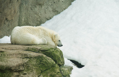 Similar image 11877703