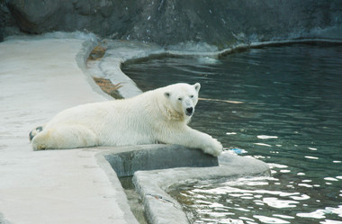 Similar image 11877705