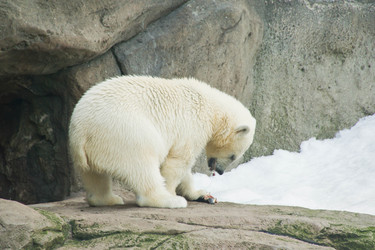 Similar image 11877709