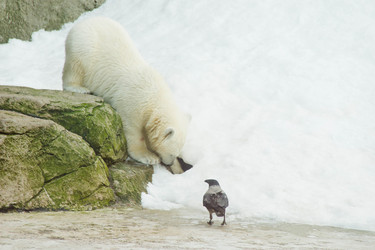 Similar image 11877784