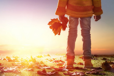 Similar image 11839963