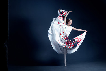 Similar image 11840858