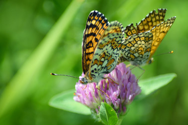 Similar image 11840534