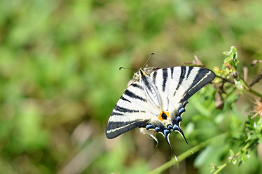 Similar image 11840535