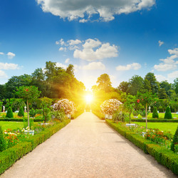 Similar image 11841358