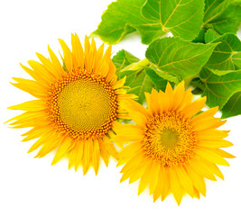 Similar image 11841360