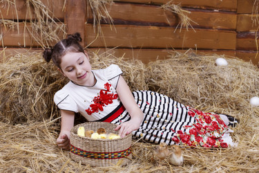 Similar image 11865844