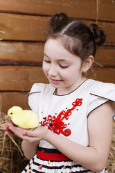 Similar image 11865845