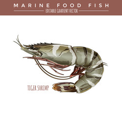 Similar image 11841325