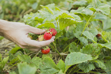 Similar image 11841681