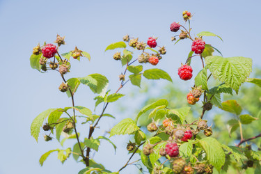 Similar image 11841684