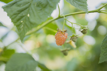 Similar image 11841701