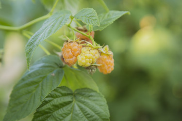 Similar image 11841702