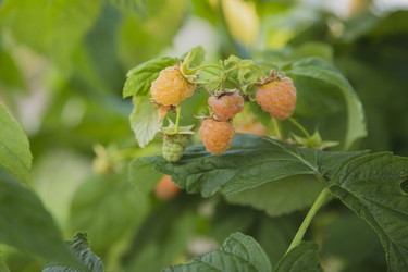 Similar image 11841703