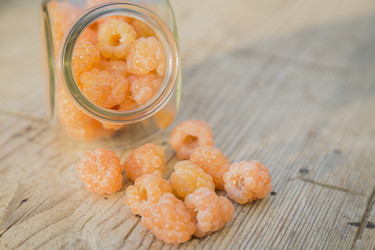 Similar image 11841705