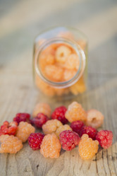 Similar image 11841708