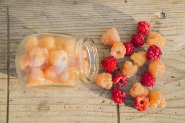 Similar image 11841709