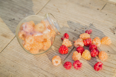 Similar image 11841710